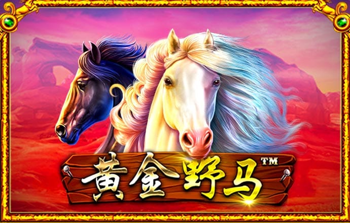 银河至尊入口